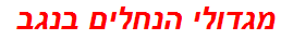 מגדולי הנחלים בנגב