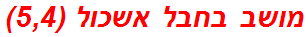 מושב בחבל אשכול (5,4)