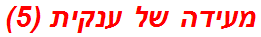 מעידה של ענקית (5)