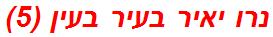 נרו יאיר בעיר בעין (5)