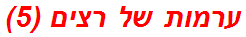 ערמות של רצים (5)