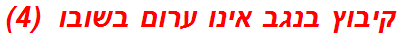 קיבוץ בנגב אינו ערום בשובו  (4)