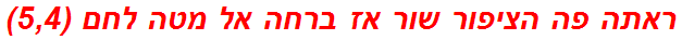 ראתה פה הציפור שור אז ברחה אל מטה לחם (5,4)