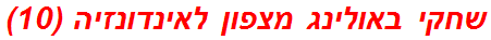 שחקי באולינג מצפון לאינדונזיה (10)