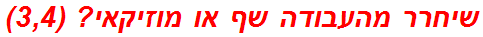 שיחרר מהעבודה שף או מוזיקאי? (3,4)