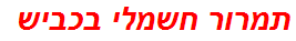 תמרור חשמלי בכביש