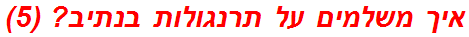 איך משלמים על תרנגולות בנתיב? (5)