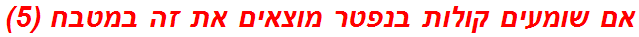 אם שומעים קולות בנפטר מוצאים את זה במטבח (5)