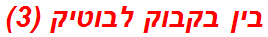 בין בקבוק לבוטיק (3)