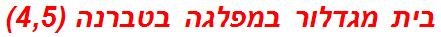 בית מגדלור במפלגה בטברנה (4,5)