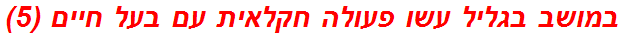 במושב בגליל עשו פעולה חקלאית עם בעל חיים (5)