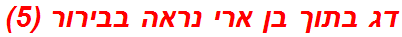 דג בתוך בן ארי נראה בבירור (5)