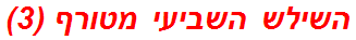 השילש השביעי מטורף (3)