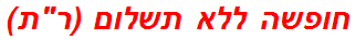 חופשה ללא תשלום (רת)