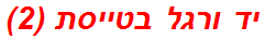 יד ורגל בטייסת (2)