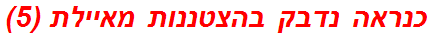 כנראה נדבק בהצטננות מאיילת (5)