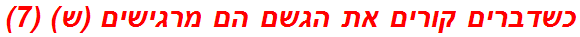 כשדברים קורים את הגשם הם מרגישים (ש) (7)