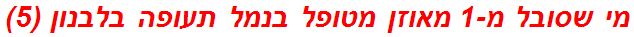 מי שסובל מ-1 מאוזן מטופל בנמל תעופה בלבנון (5)