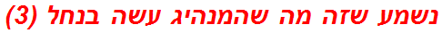 נשמע שזה מה שהמנהיג עשה בנחל (3)