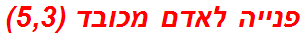 פנייה לאדם מכובד (5,3)