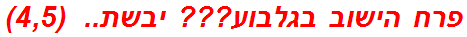 פרח הישוב בגלבוע??? יבשת..  (4,5)