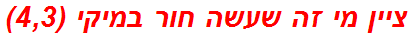 ציין מי זה שעשה חור במיקי (4,3)