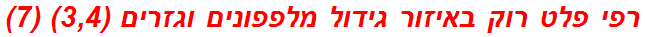 רפי פלט רוק באיזור גידול מלפפונים וגזרים (3,4) (7)