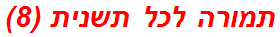 תמורה לכל תשנית (8)