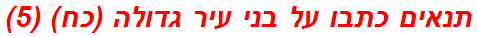 תנאים כתבו על בני עיר גדולה (כח) (5)