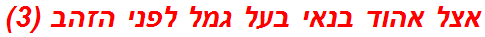 אצל אהוד בנאי בעל גמל לפני הזהב (3)