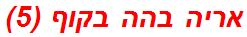 אריה בהה בקוף (5)