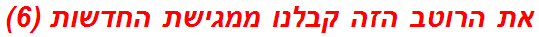 את הרוטב הזה קבלנו ממגישת החדשות (6)