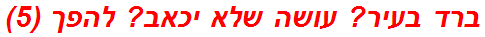 ברד בעיר? עושה שלא יכאב? להפך (5)