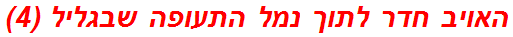 האויב חדר לתוך נמל התעופה שבגליל (4)