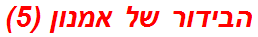 הבידור של אמנון (5)