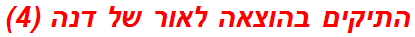 התיקים בהוצאה לאור של דנה (4)