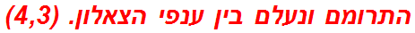 התרומם ונעלם בין ענפי הצאלון. (4,3)