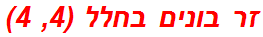 זר בונים בחלל (4, 4)