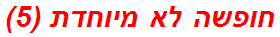 חופשה לא מיוחדת (5)