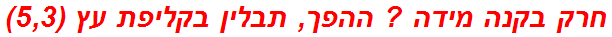 חרק בקנה מידה ? ההפך, תבלין בקליפת עץ (5,3)