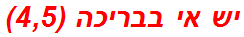 יש אי בבריכה (4,5)