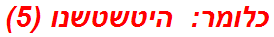 כלומר: היטשטשנו (5)