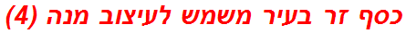 כסף זר בעיר משמש לעיצוב מנה (4)