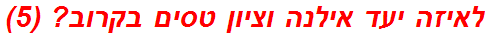 לאיזה יעד אילנה וציון טסים בקרוב? (5)