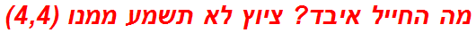 מה החייל איבד? ציוץ לא תשמע ממנו (4,4)