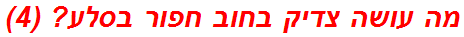 מה עושה צדיק בחוב חפור בסלע? (4)