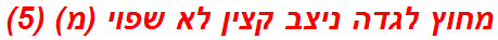 מחוץ לגדה ניצב קצין לא שפוי (מ) (5)