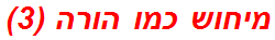 מיחוש כמו הורה (3)