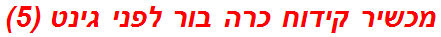 מכשיר קידוח כרה בור לפני גינט (5)