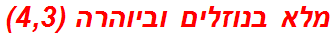 מלא בנוזלים וביוהרה (4,3)